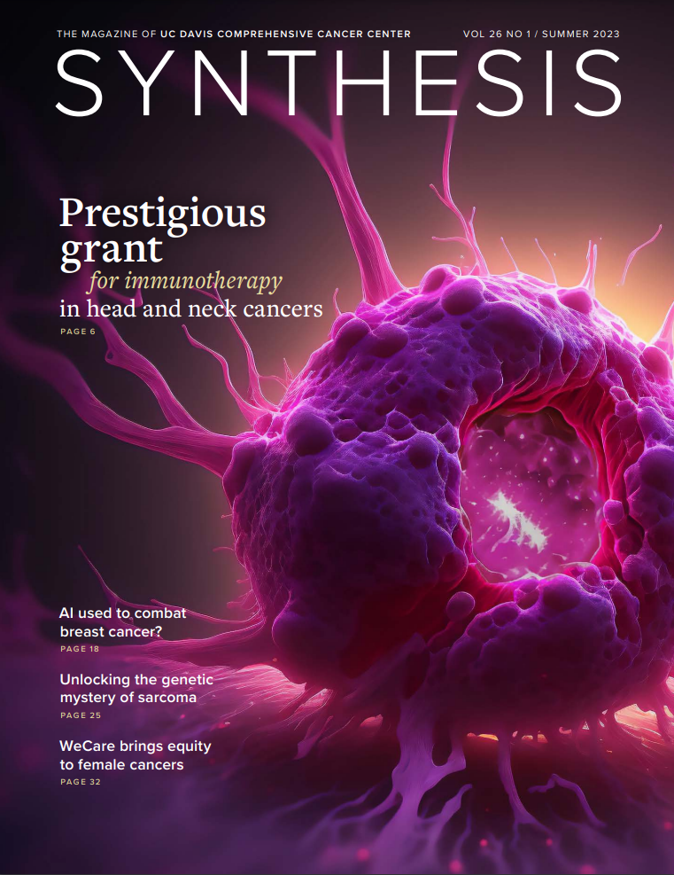 Luis’ Work Highlighted in Summer Issue of Synthesis